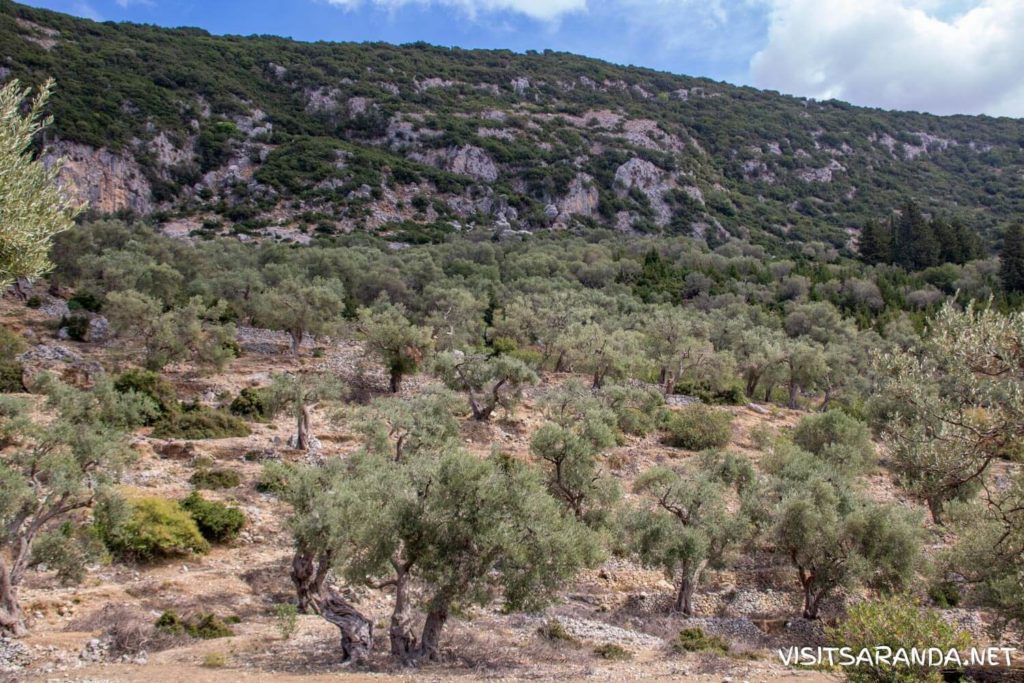 Settlement of Karos (Qeparo) Settlement of Karos (Qeparo)